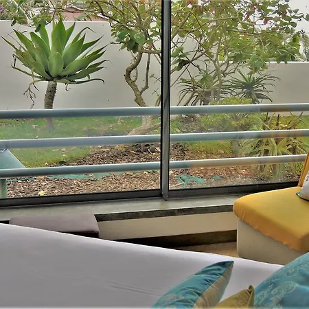 Epicenter לאגואה